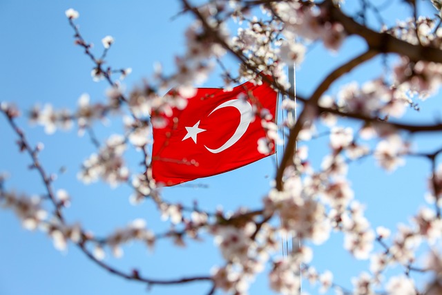 Турецкий флаг на фоне цветущего миндаля.