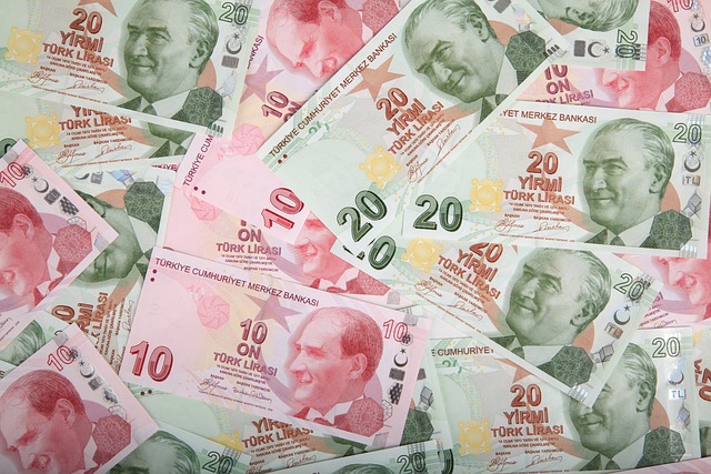 Турецкие лиры, деньги.
