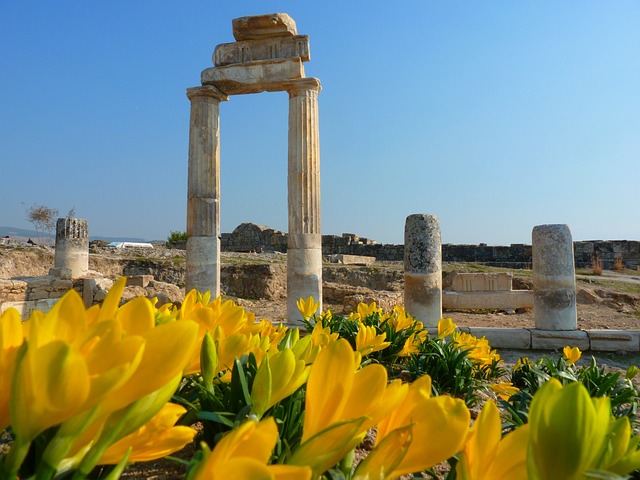Иераполис с цветами.